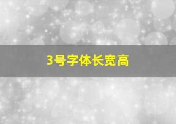 3号字体长宽高