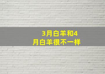 3月白羊和4月白羊很不一样