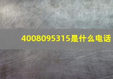 4008095315是什么电话