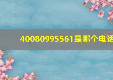 40080995561是哪个电话