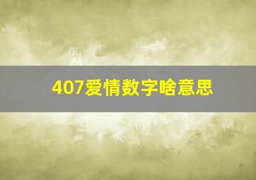 407爱情数字啥意思