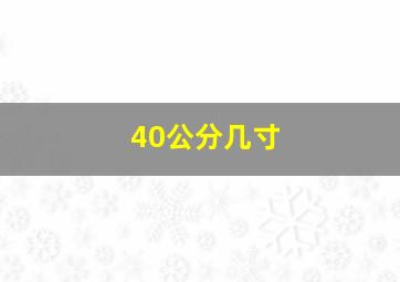 40公分几寸