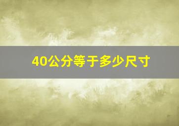 40公分等于多少尺寸