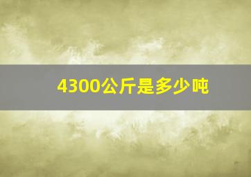 4300公斤是多少吨