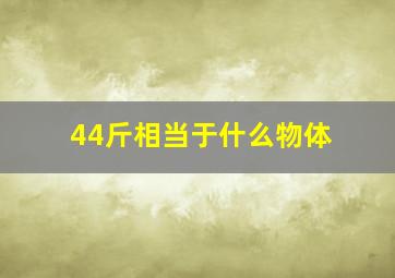 44斤相当于什么物体