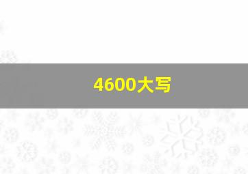 4600大写