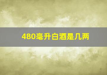 480毫升白酒是几两