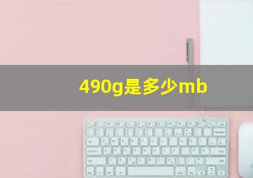 490g是多少mb