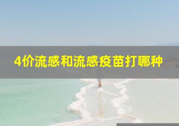 4价流感和流感疫苗打哪种