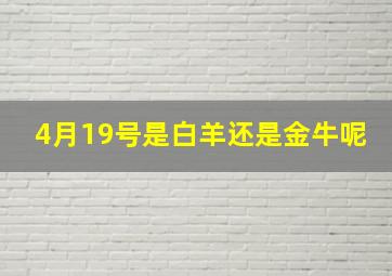 4月19号是白羊还是金牛呢