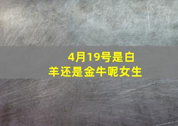 4月19号是白羊还是金牛呢女生