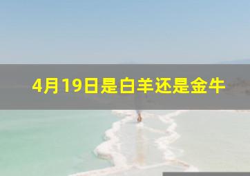 4月19日是白羊还是金牛