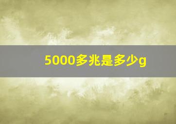 5000多兆是多少g