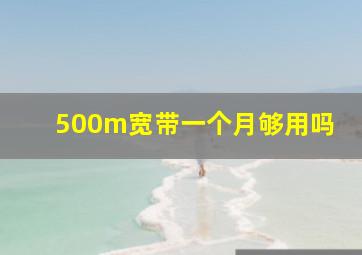 500m宽带一个月够用吗