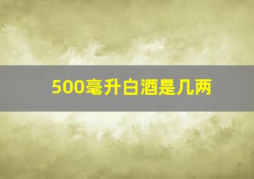 500毫升白酒是几两