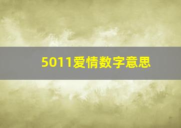 5011爱情数字意思