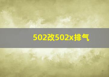 502改502x排气