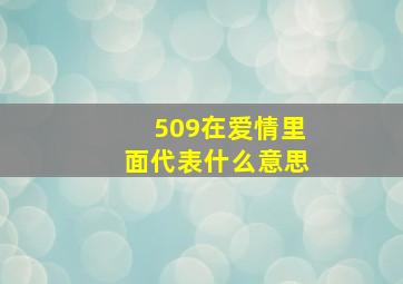 509在爱情里面代表什么意思