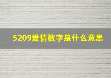 5209爱情数字是什么意思