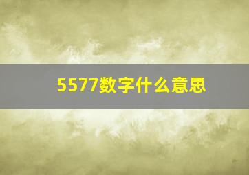 5577数字什么意思