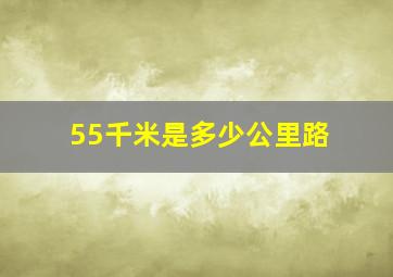 55千米是多少公里路