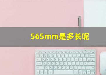 565mm是多长呢