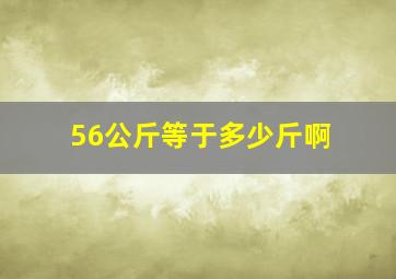 56公斤等于多少斤啊