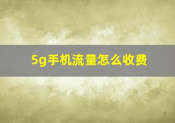 5g手机流量怎么收费