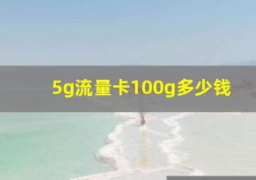 5g流量卡100g多少钱