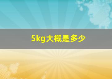 5kg大概是多少