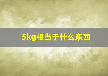 5kg相当于什么东西