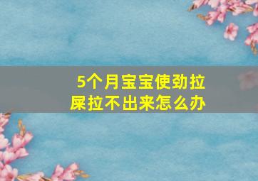 5个月宝宝使劲拉屎拉不出来怎么办