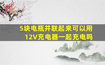 5块电瓶并联起来可以用12V充电器一起充电吗