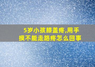 5岁小孩膝盖疼,用手摸不能走路疼怎么回事