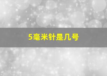 5毫米针是几号