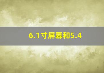 6.1寸屏幕和5.4