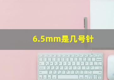 6.5mm是几号针