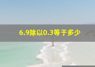 6.9除以0.3等于多少