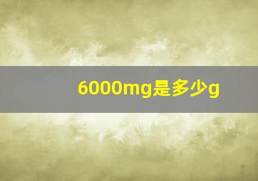 6000mg是多少g