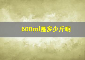 600ml是多少斤啊