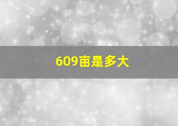 609亩是多大