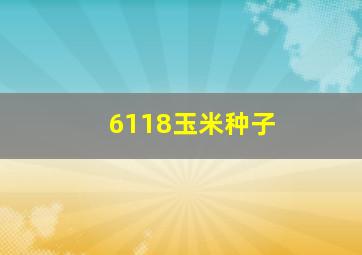 6118玉米种子