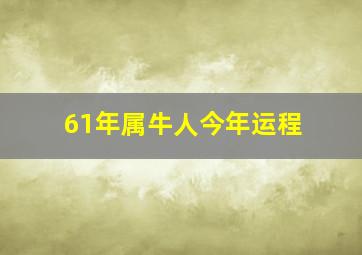 61年属牛人今年运程