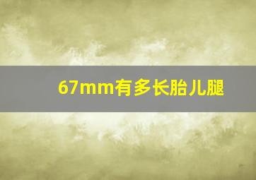 67mm有多长胎儿腿