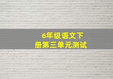 6年级语文下册第三单元测试