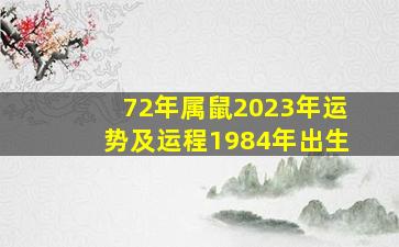 72年属鼠2023年运势及运程1984年出生