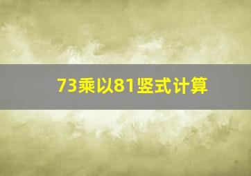 73乘以81竖式计算