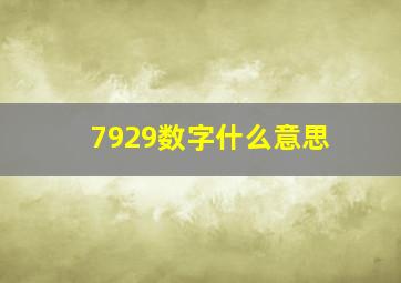 7929数字什么意思