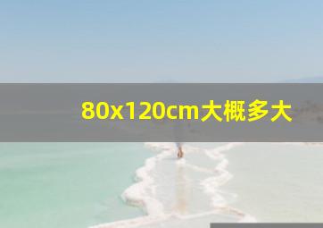 80x120cm大概多大