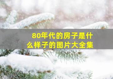 80年代的房子是什么样子的图片大全集